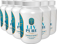 LivePure Review 6 bottles